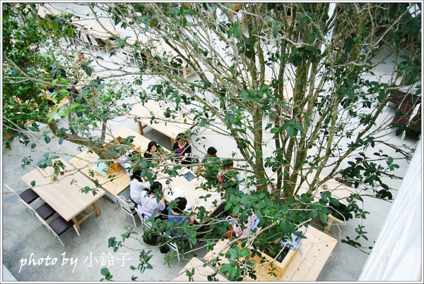 香草菲菲芳香植物博物館：宜蘭員山「香草菲菲」超大室內植物園