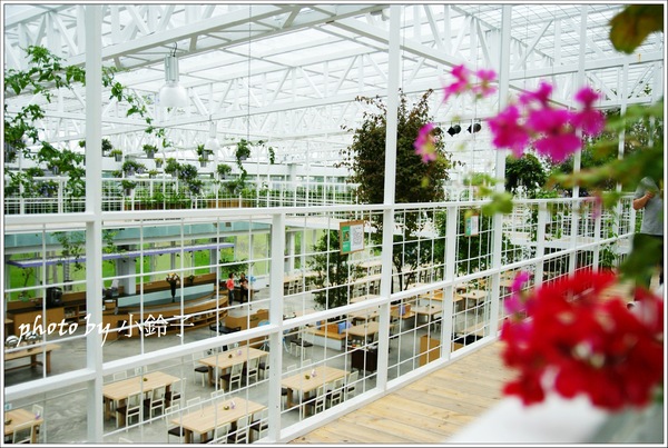 香草菲菲芳香植物博物館：宜蘭員山「香草菲菲」超大室內植物園
