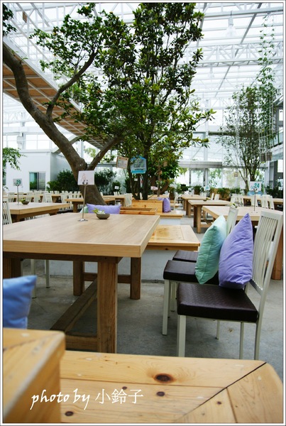 香草菲菲芳香植物博物館：宜蘭員山「香草菲菲」超大室內植物園