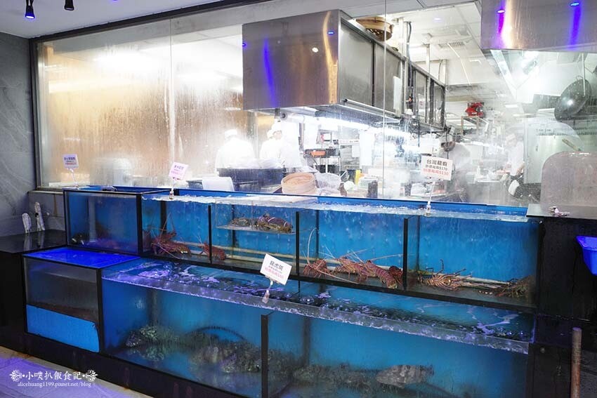 【士林美食】『典華雅聚士林店』近芝山站/粵菜港點餐廳推薦/大