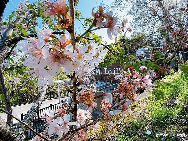 eZy Watermark_05-03-2023_08-30-55下午.JPG