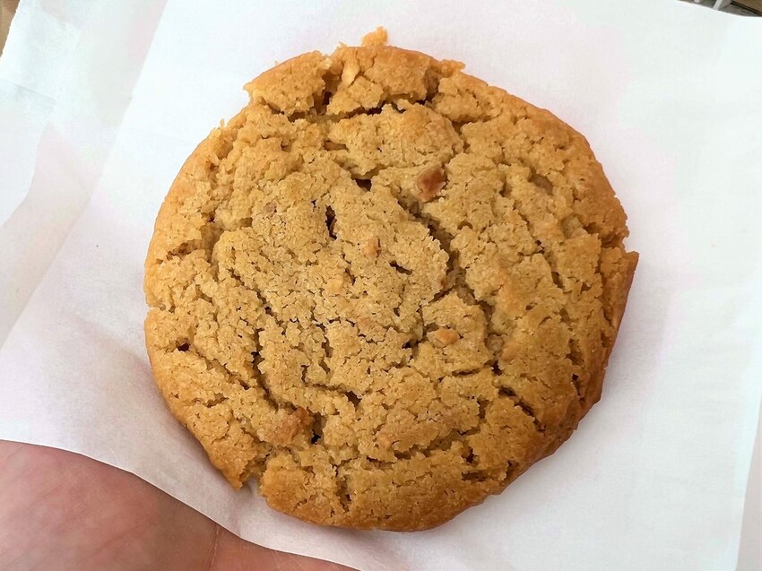 LZPT Eatery｜新內湖網美必拍仙人掌咖啡廳！一秒飛到南加州最新拍照打卡聖地！內湖咖啡廳推薦、台北咖啡廳推薦、內湖早午餐推薦、台北早午餐推薦 - 佛系旅遊筆記