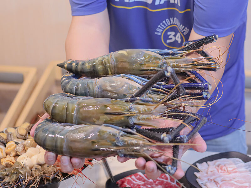 新竹湖口 印in麻辣鍋放題 | 眼斑、青龍、波士頓龍蝦吃到飽,再送10倍大的斯里蘭卡帝王長臂蝦