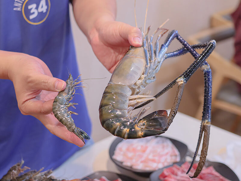 新竹湖口 印in麻辣鍋放題 | 眼斑、青龍、波士頓龍蝦吃到飽,再送10倍大的斯里蘭卡帝王長臂蝦