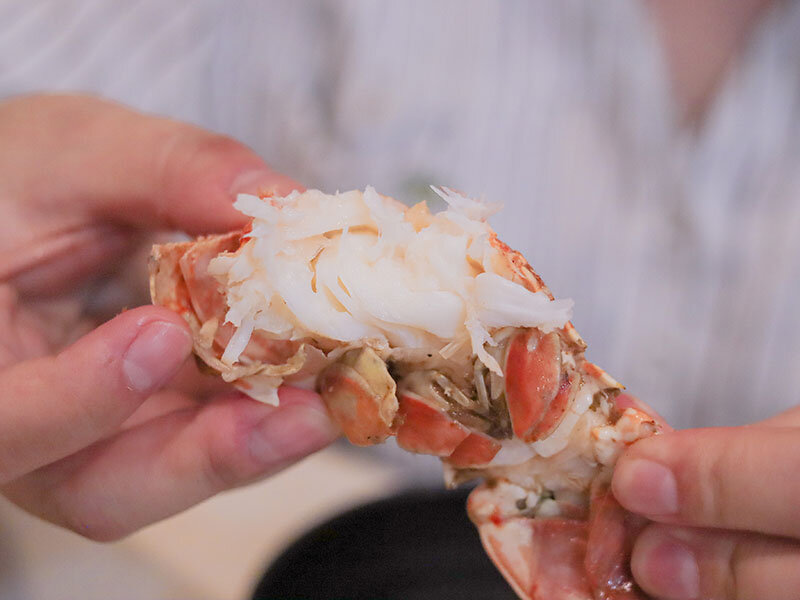 新竹湖口 印in麻辣鍋放題 | 眼斑、青龍、波士頓龍蝦吃到飽,再送10倍大的斯里蘭卡帝王長臂蝦