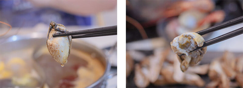 新竹湖口 印in麻辣鍋放題 | 眼斑、青龍、波士頓龍蝦吃到飽,再送10倍大的斯里蘭卡帝王長臂蝦