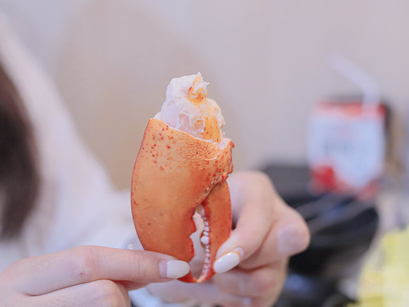 新竹湖口 印in麻辣鍋放題 | 眼斑、青龍、波士頓龍蝦吃到飽,再送10倍大的斯里蘭卡帝王長臂蝦