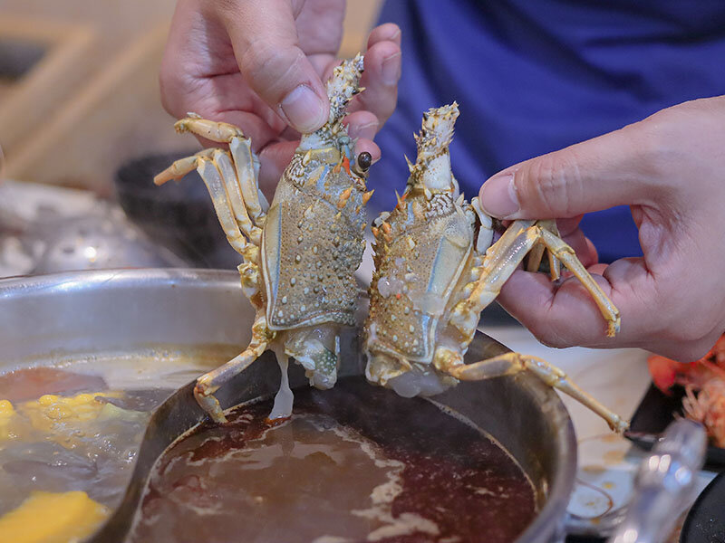 新竹湖口 印in麻辣鍋放題 | 眼斑、青龍、波士頓龍蝦吃到飽,再送10倍大的斯里蘭卡帝王長臂蝦