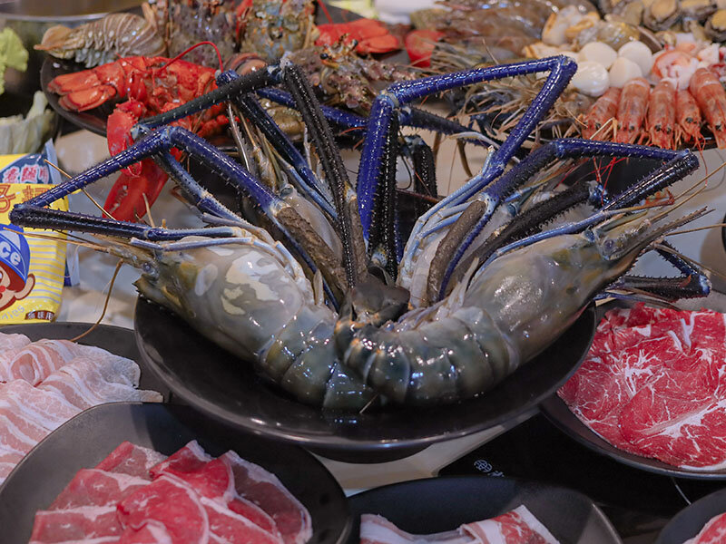 新竹湖口 印in麻辣鍋放題 | 眼斑、青龍、波士頓龍蝦吃到飽,再送10倍大的斯里蘭卡帝王長臂蝦