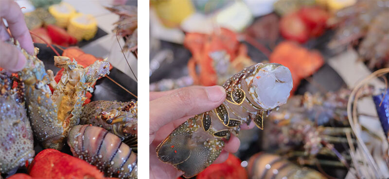 新竹湖口 印in麻辣鍋放題 | 眼斑、青龍、波士頓龍蝦吃到飽,再送10倍大的斯里蘭卡帝王長臂蝦