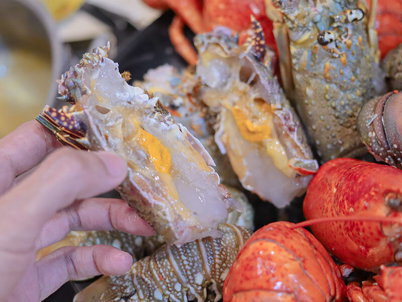 新竹湖口 印in麻辣鍋放題 | 眼斑、青龍、波士頓龍蝦吃到飽,再送10倍大的斯里蘭卡帝王長臂蝦