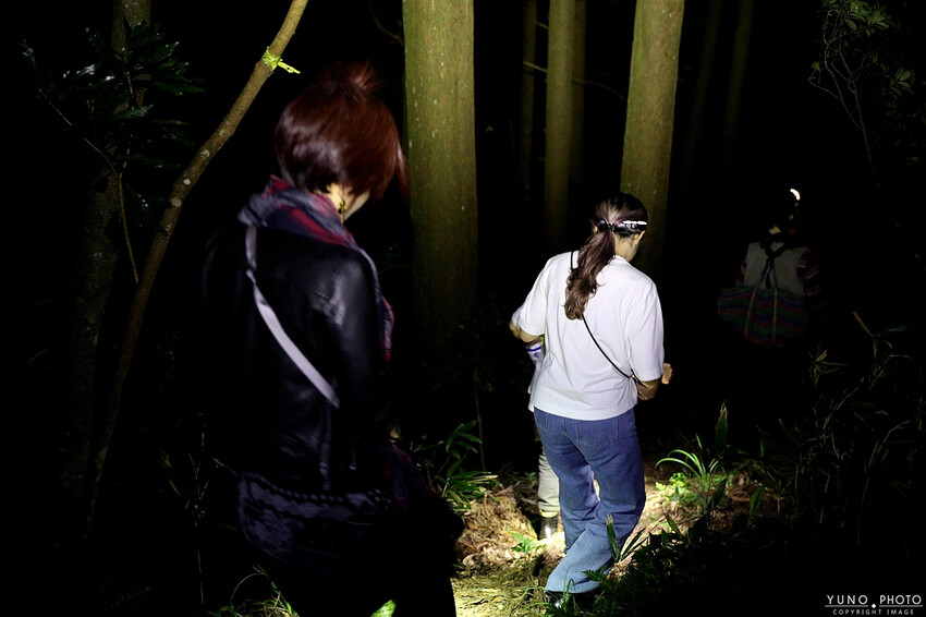 雲海山嵐環抱宛如人間仙境 白蘭部落超美秘境！高海拔森林系豪華露營 一泊二食｜蟬說：霧繞(新竹豪華露營推