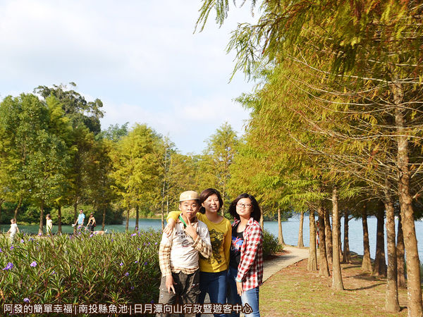 向山行政暨遊客中心17-落羽松步道