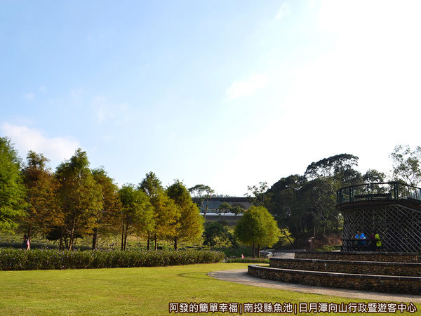 向山行政暨遊客中心16-落羽松小公園