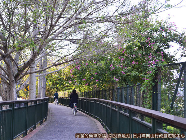 向山行政暨遊客中心29-往水社壩方向