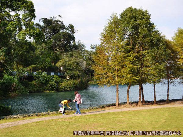 向山行政暨遊客中心19-落羽松小公園