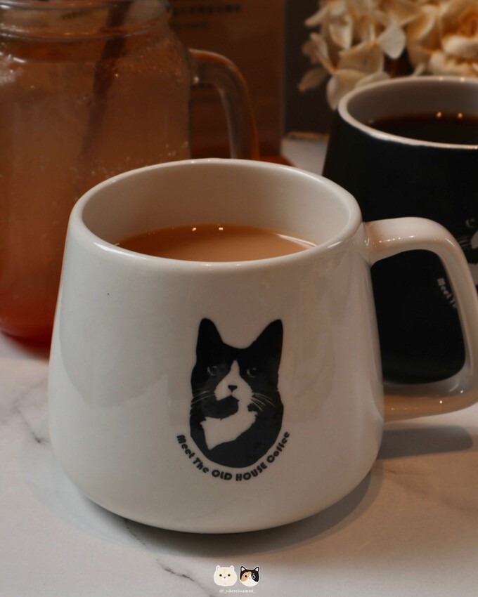 高雄左營餐廳|癒見好食．招牌手打漢堡肉所推出一系列餐點! 交通方便近巨蛋捷運站、寵物友善空間可帶自家毛小孩一同前往~