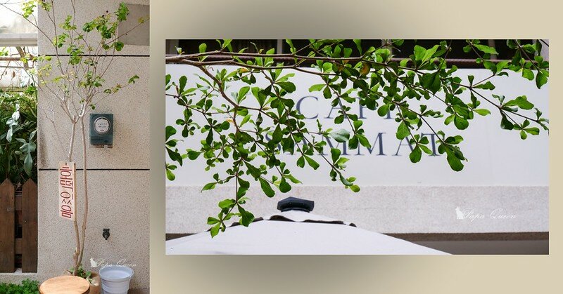 台中|韓食小吃 CAFE SAMMAT 三味糖餅台中店 삼맛호떡 年糕很韓國