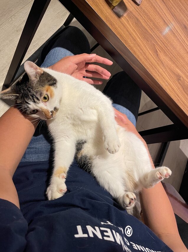 S__4571171.jpg S__4571171.jpg