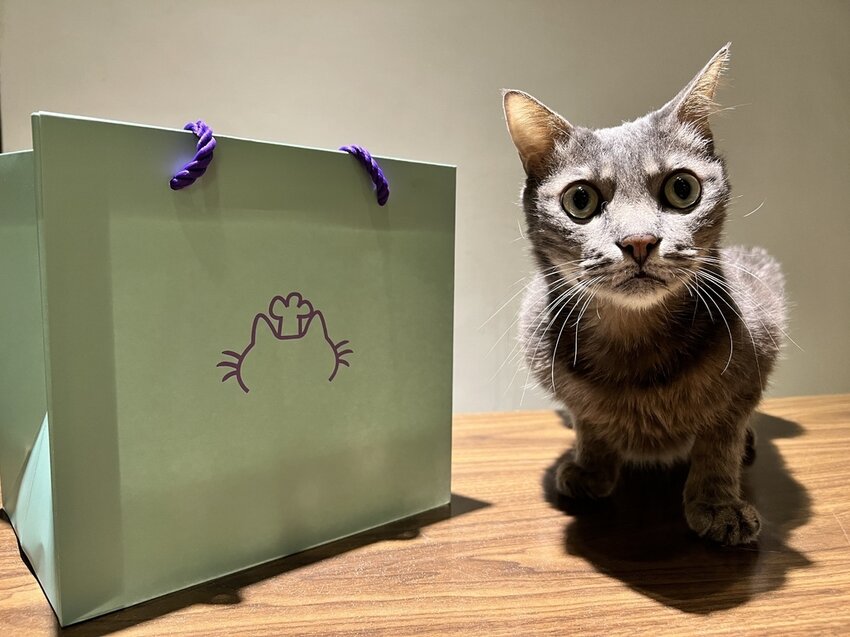 S__4571167.jpg S__4571167.jpg