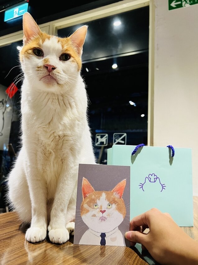 S__4571174.jpg S__4571174.jpg