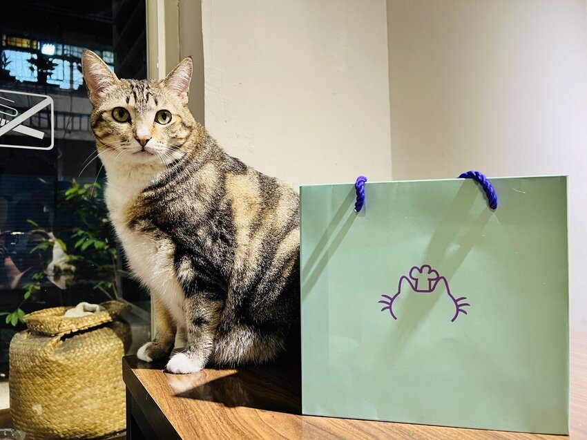 S__4571172.jpg S__4571172.jpg