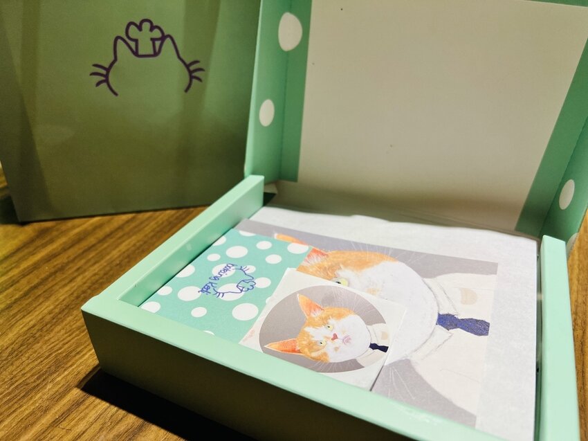 S__4571166.jpg S__4571166.jpg