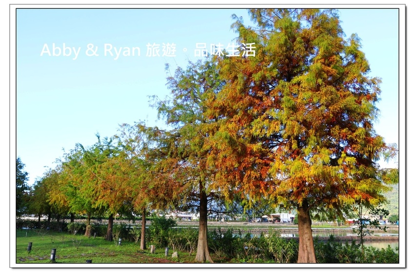 newIMG_0469.jpg newIMG_0469.jpg