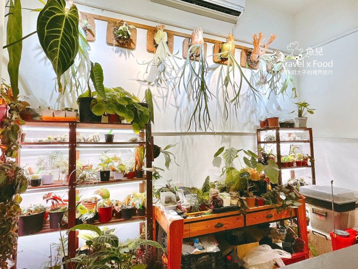 綠色植栽滿載，都市森林系的美食饗宴 ─ Vittaria Café 書帶蕨 - 魚兒 x 牽手明太子的「視」界旅行