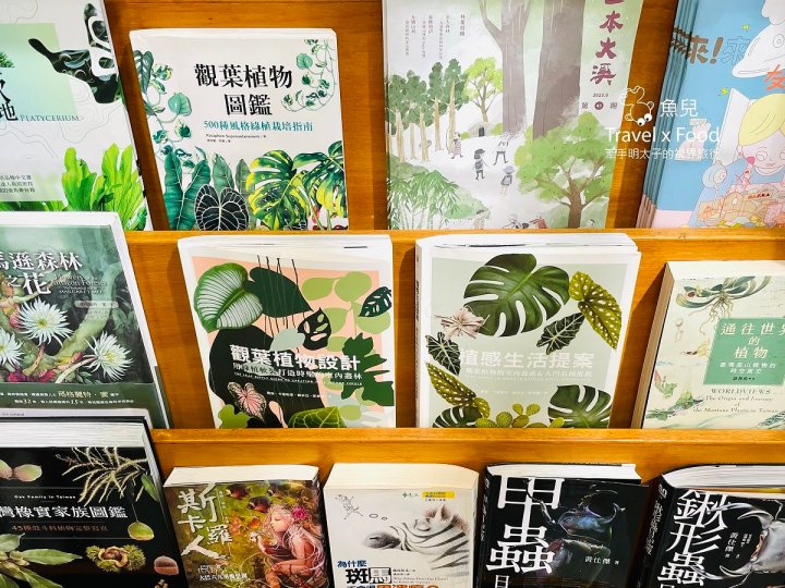 綠色植栽滿載，都市森林系的美食饗宴 ─ Vittaria Café 書帶蕨 - 魚兒 x 牽手明太子的「視」界旅行