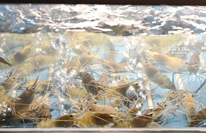 台中活蝦料理，整艘大船開進餐廳超浮誇，有包廂、好停車、近中清交流道 -妮妮布魯