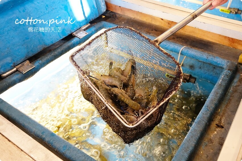 台中全蝦料理這裡吃！鴻龍宴超過十種口味全蝦餐超過癮 - 棉花糖的天空