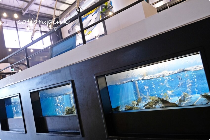 台中全蝦料理這裡吃！鴻龍宴超過十種口味全蝦餐超過癮 - 棉花糖的天空