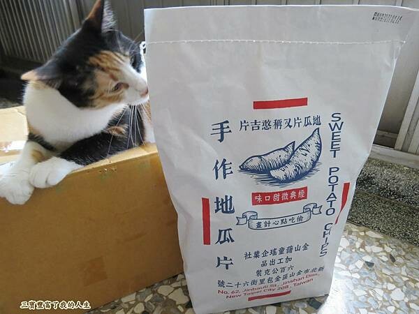 金山藷童瑤 (30).JPG