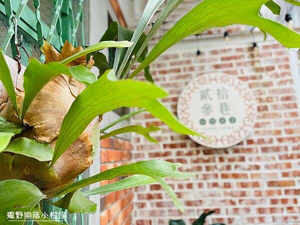 宜蘭美食》老宅裡的咖哩香飄散於舊城巷弄【貳拾參巷咖哩食堂】角