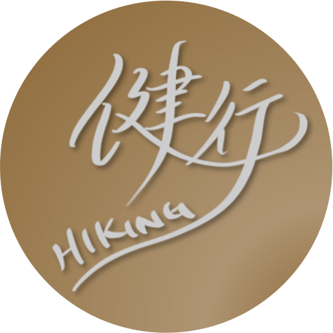 新北美食／新店八哥重慶酸辣粉－咕溜紅薯粉搭配渾厚湯頭，香、酸、燙、辣、麻一次滿足