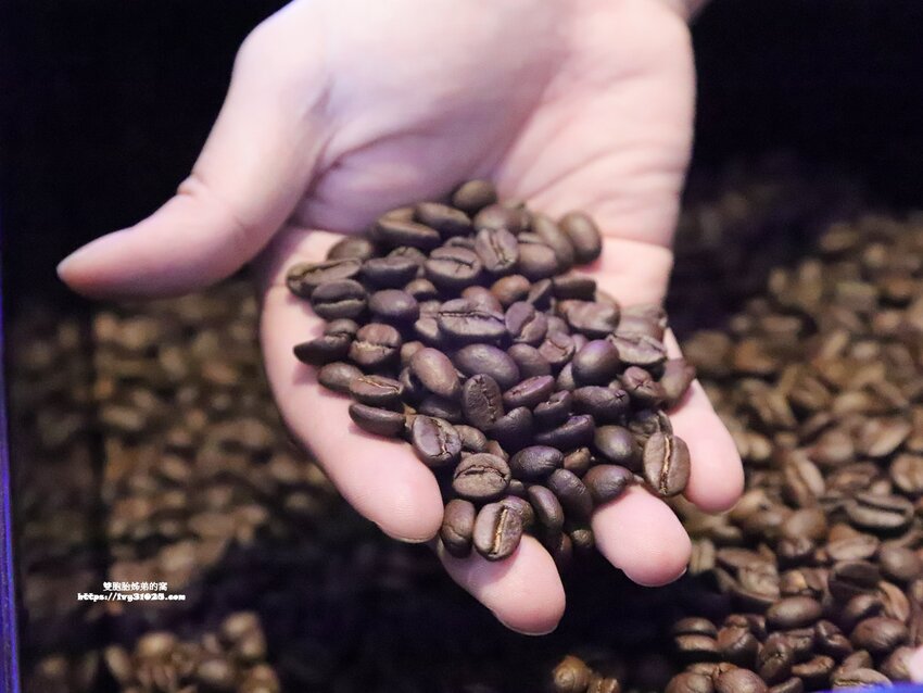 DYC.COFFEE打咖啡實驗室 量身客製科技化烘培 & 書香 X 咖啡香一起感受