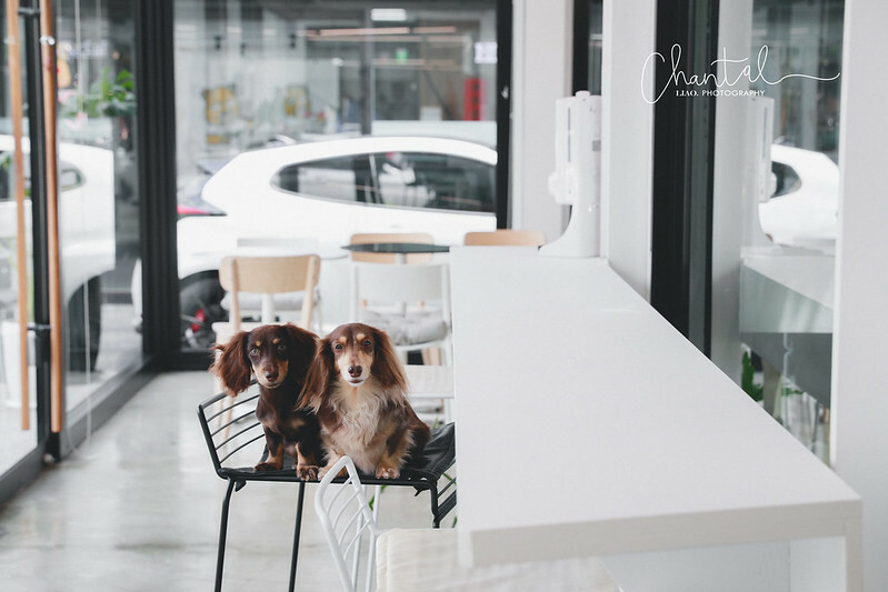 _J6A0997-2拷貝 拷貝 _J6A0997-2拷貝 拷貝