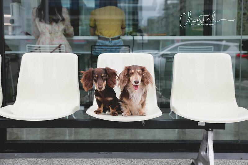 _J6A1429-2拷貝 拷貝 _J6A1429-2拷貝 拷貝