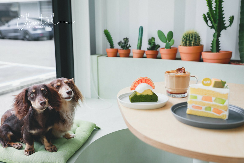 _J6A1368-2拷貝 拷貝 _J6A1368-2拷貝 拷貝