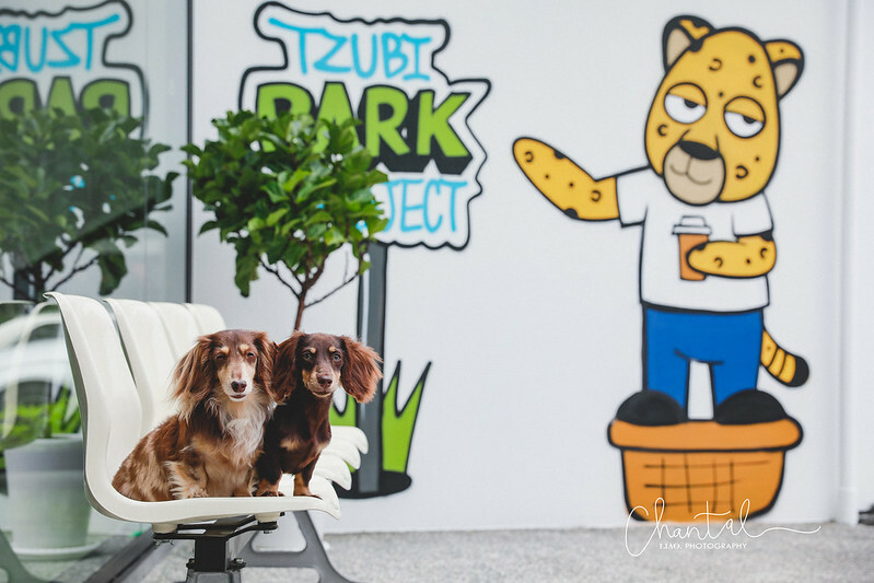 _J6A1410-2拷貝 拷貝 _J6A1410-2拷貝 拷貝