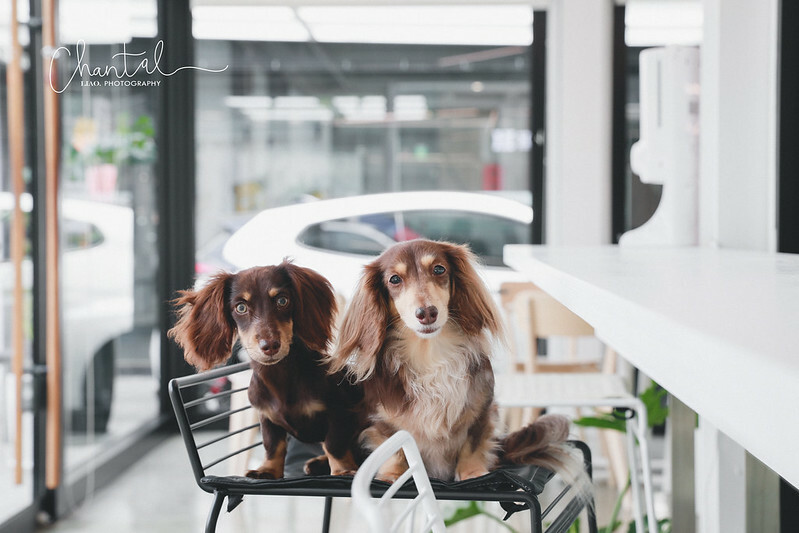 _J6A0961-2拷貝 拷貝 _J6A0961-2拷貝 拷貝