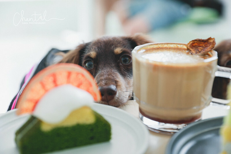 _J6A1358-2拷貝 拷貝 _J6A1358-2拷貝 拷貝