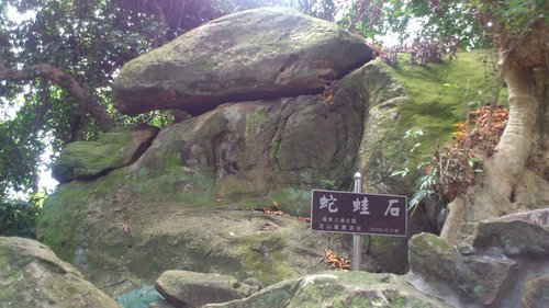 芝山岩:201304102117跟著捷運去踏青之芝山巖惠濟宮 芝山岩:201304102117跟著捷運去踏青之芝山巖惠濟宮