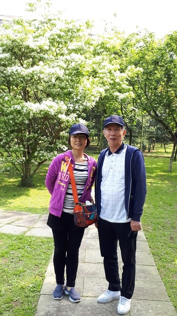 20180325_092419.jpg - 2018陽明山櫻花季