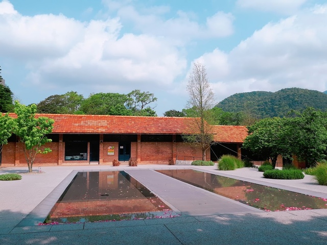 2018-03-25-09-44-54.jpg - 2018陽明山櫻花季