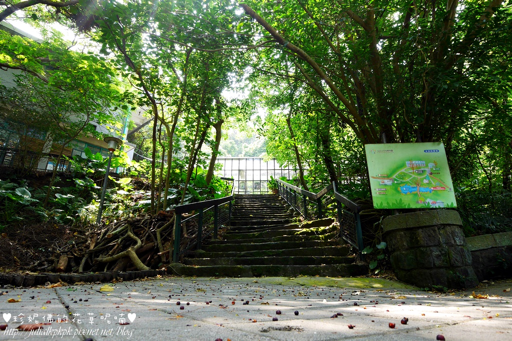 【台北-士林区】芝山文化生态绿园