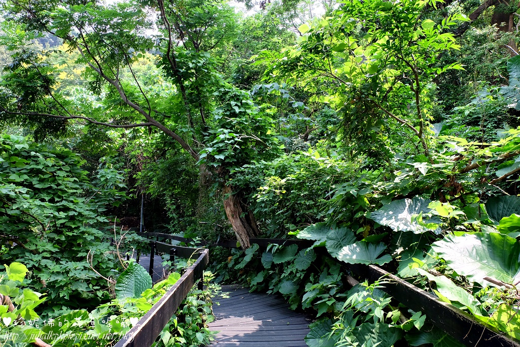 【台北-士林区】芝山文化生态绿园