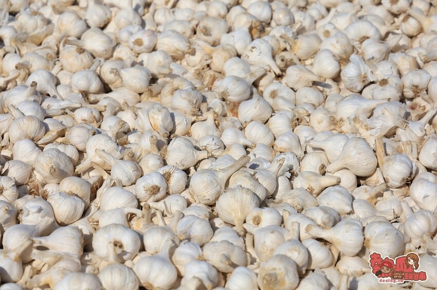 【台南飲料】七股仙人指路!台南七股海線最強網美飲料店,讓妳拍美美又喝得很開心~ - 熱血玩台南。跳躍新世界