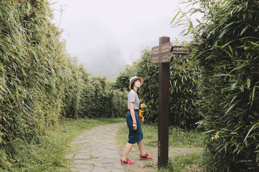 那雲霧裊繞的陽明山小油坑 那雲霧裊繞的陽明山小油坑